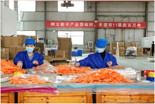 從“網(wǎng)紅”到“長(zhǎng)紅” 義烏小商品與國(guó)民美食共繪中國(guó)消費(fèi)新圖景