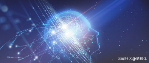 中國人工智能 賞花更需尋根——論人工智能基礎軟件開發(fā)的重要性
