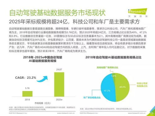 中國人工智能基礎數據服務與基礎軟件開發行業報告